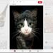 Profile Picture of Debi Anderson (@nonniedebi2) on Pinterest