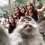 Profile Picture of Brandon Sipe (@badgergel) on Instagram