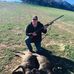 Profile Picture of Noel Storey (@noel.storey.50) on Facebook