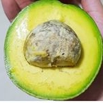 Profile Picture of kachamon Avocado (@kachamon_avocado) on Instagram