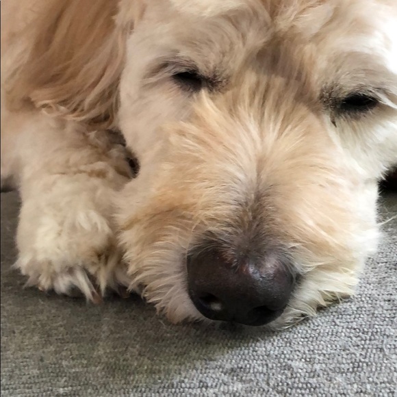 Profile Picture of John Dee (@jdee04) on Poshmark