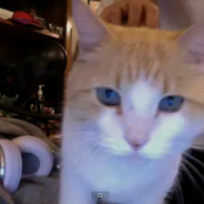 Profile Picture of Anthony Mahone (@AnthonyMahone_) on Twitter