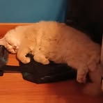 Profile Picture of Carter Taylor (@Carter-Taylor) on Facebook