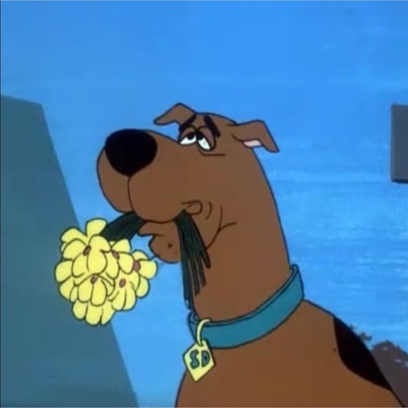 Profile Picture of Lili Tiznado (@fwxlili) on Poshmark