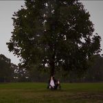 Profile Picture of steve__pham (@steve__pham) on Instagram