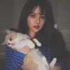 Profile Picture of lisawoolf7747 (@lisawoolf7747) on Tiktok