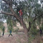 Profile Picture of Wilbert Alejandro (@wilbert.alejandro.948) on Instagram