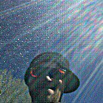 Profile Picture of Trevor Griffith (@tgriff77) on Instagram