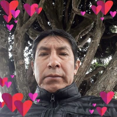 Profile Picture of Julio Marcelo Pugo Minchala (@JulioMarceloPu1) on Twitter