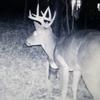 Profile Picture of David Trusty (@@david_trusty34) on Tiktok