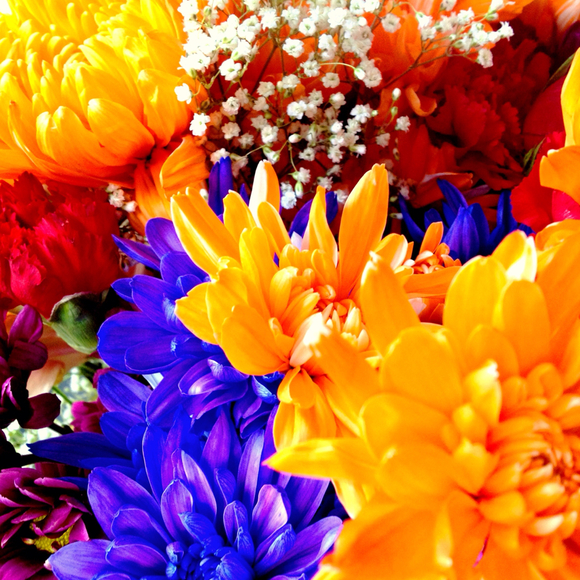 Profile Picture of Brit Naleid (@marqbrit) on Poshmark