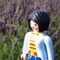 Profile Picture of Lai Wan Sze (@lai-wan-sze) on Quora