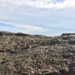 Profile Picture of Max Goodwin (@nature_and_max) on Instagram