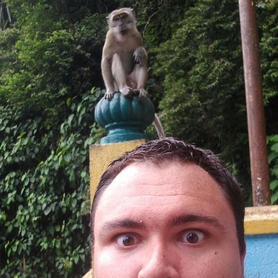 Profile Picture of Matt Soares (@MattDSoares) on Twitter