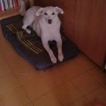 Profile Picture of Angelo Mariotti (@angelo.mariotti.5) on Instagram