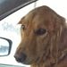 Profile Picture of Kay Waite (@kayw0448) on Pinterest