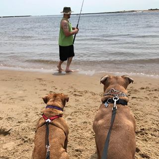 Profile Picture of Joseph Louis Ginisi (@jginisi) on Facebook