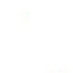 Profile Picture of Tram Hoang Bao (@lun papy) on Flickr