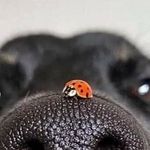 Profile Picture of Mindy Mcgrath-Conley (@mindyconley) on Instagram