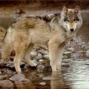 Profile Picture of Alexander Percy (@384709643) on Myspace