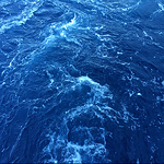 Profile Picture of Craig Wardle (@wdi.craig) on Flickr