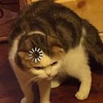 Profile Picture of i post butt pics (@lesliethesluttyvirgin) on Instagram