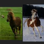 Profile Picture of Julia Allrich (@allrichjulia) on Instagram