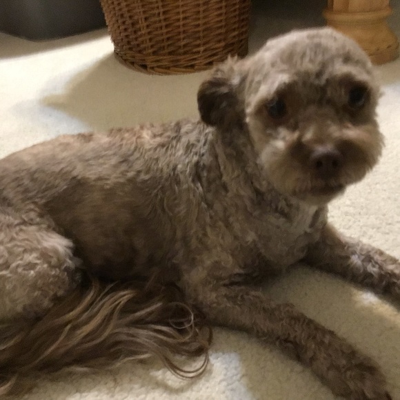 Stephanie Manteris - Poshmark Profile Picture of Stephanie Manteris (@stephanie2966) on Poshmark