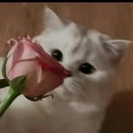 Profile Picture of Hilda Monroy (@hilda.monroy.688844) on Facebook