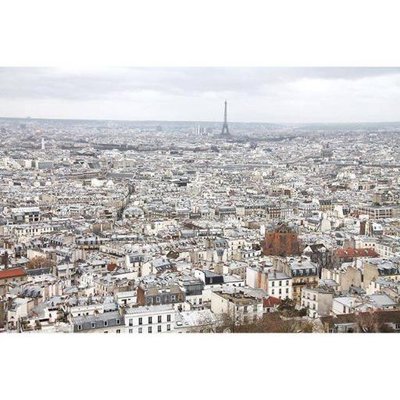 Profile Picture of Nancy Moret (@NancyMoret4) on Twitter