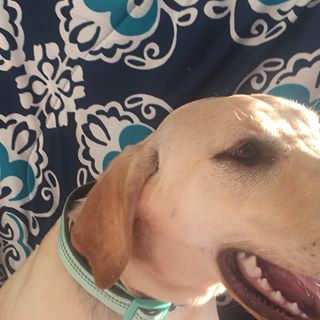 Profile Picture of Charleigh Goff (@charleigh.goff) on Facebook