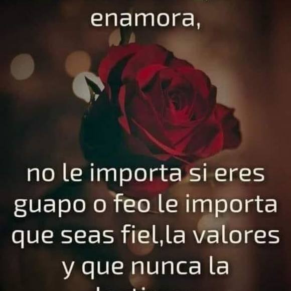 Celeste Meyer - Poshmark Profile Picture of Celeste Meyer (@celeste_meyer) on Poshmark