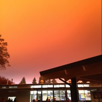 Profile Picture of Steven Novoa (@StevenNovoa7) on Twitter