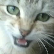 Profile Picture of Brenda Landeros (@brendalanderos8692) on Youtube