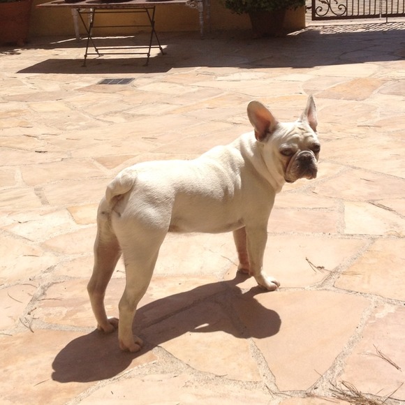 Profile Picture of Maria Aliotti (@mfa819) on Poshmark