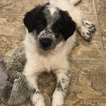 Profile Picture of Winnie Wilson (@wonderful.winnie.wilson) on Instagram