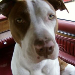 Profile Picture of Ken Butler (@344870366) on Myspace