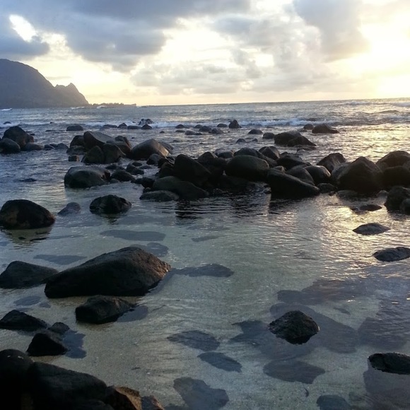 Profile Picture of Firdausi Noorzay (@firdausinoorzay) on Poshmark