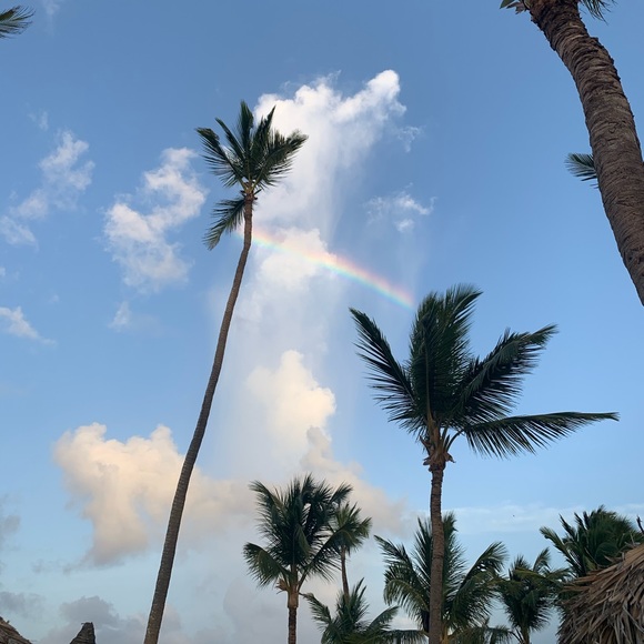 Profile Picture of Aleksandra Shevchuk (@ashevchuk) on Poshmark