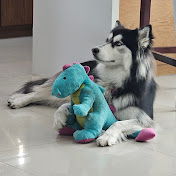 José L Escobedo - Youtube Profile Picture of José L Escobedo (@joseescobedo2241) on Youtube