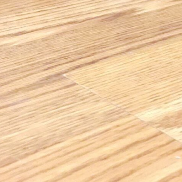 Profile Picture of Molly Plinsky (@mollyplinsky) on Poshmark