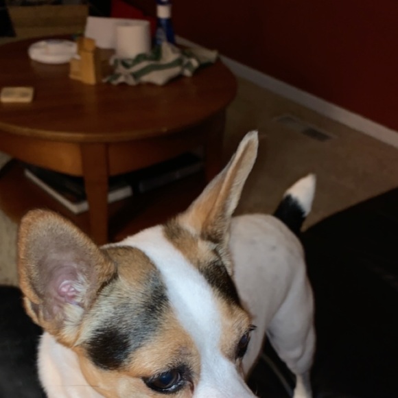 Profile Picture of Gavin frase Frase (@gavinfrase) on Poshmark