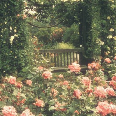 Profile Picture of Anthony (check Pinned ♡) (@paleshltr) on Twitter