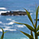 Profile Picture of Cody Fitzgerald (@cfpht) on Flickr