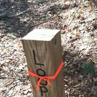 Profile Picture of Gabriel Tavarez Feliu (@gabriel-tavarez-feliu) on Quora