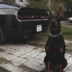 Profile Picture of Agustin Samando (@Agustin-Samando) on Facebook