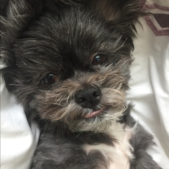 Profile Picture of Gen Hakamata (@ghak1959) on Poshmark