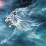 Profile Picture of Brian Felix (@bria.felix.9) on Instagram