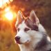 Profile Picture of Andrew Ruether (@andrew.ruether.1) on Facebook