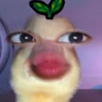 Profile Picture of Coleen Lipay (@coleen.lipay) on Facebook